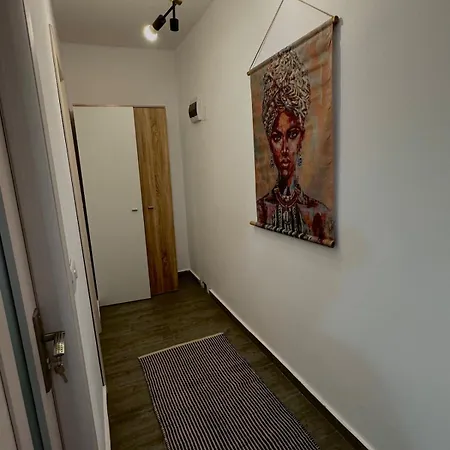 Petra's 크라이오바