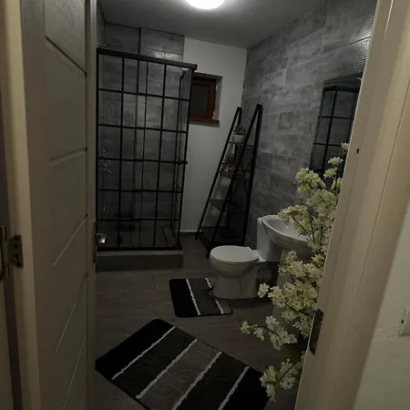 Petra's Apartment Craiova