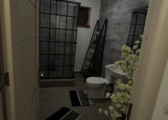 Petra's 公寓 克拉奥华